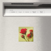 Aimant Rose rouge délicate (In Situ (Lave-vaisselle))
