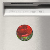 Aimant Rose rouge magnétique avec étoile d'eau (In Situ (Lave-vaisselle))