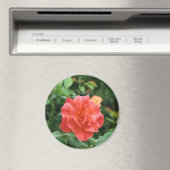 Aimant Rose rouge pâle... (In Situ (Lave-vaisselle))