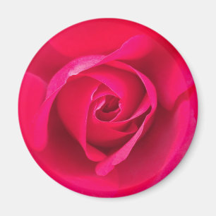 Aimant Rose rouge romantique v2