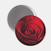 Aimant Rose rouge Valentine (Recto/Verso)