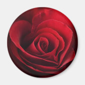 Aimant Rose rouge Valentine (Devant)