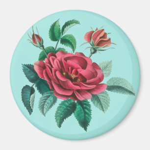 Aimant Rose rouge vintage