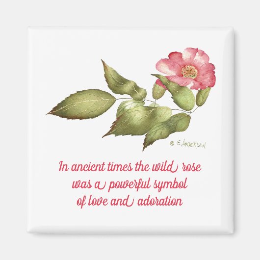 Aimant Rose sauvage rose avec (Devant)
