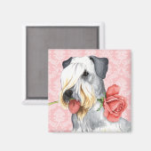 Aimant Rose Valentin Cesky Terrier (Recto/Verso)