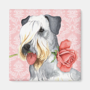 Aimant Rose Valentin Cesky Terrier