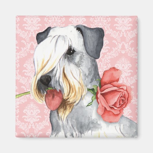 Aimant Rose Valentin Cesky Terrier (Devant)