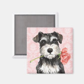 Aimant Rose Valentin Mini Schnauzer (Recto/Verso)