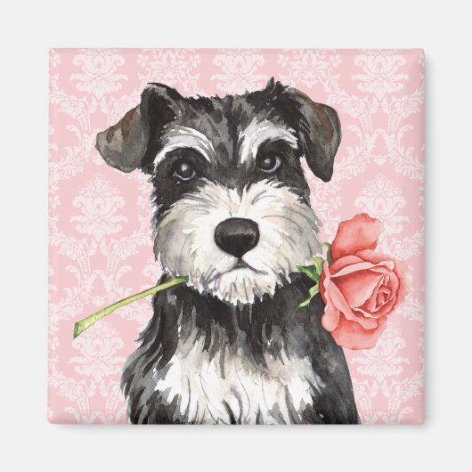 Aimant Rose Valentin Mini Schnauzer (Devant)