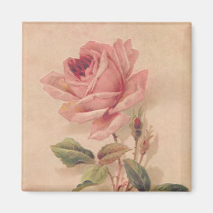 Aimant Rose victorien français de rose