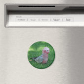 Aimant Roseate Cockatoo (In Situ (Lave-vaisselle))