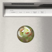 Aimant rosebud brillant (In Situ (Lave-vaisselle))