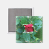 Aimant rosebud rouge (Recto/Verso)