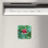 Aimant rosebud rouge (In Situ (Lave-vaisselle))