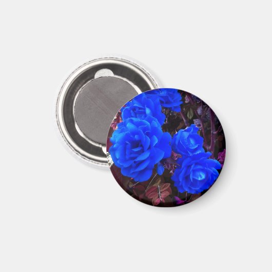 Aimant Roses bleu électrique (Recto/Verso)