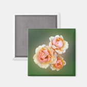 Aimant roses jaunes (Recto/Verso)