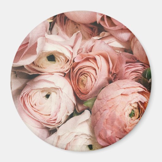 Aimant Roses roses (Devant)