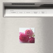 Aimant Roses roses (In Situ (Lave-vaisselle))