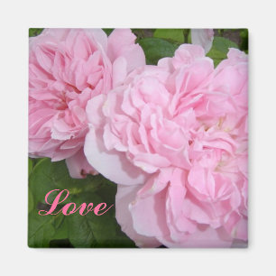 Aimant Roses roses