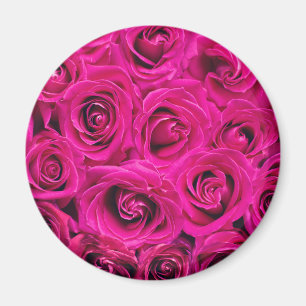 Aimant Roses roses (Amour et Romance)