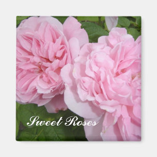 Aimant Roses roses roses tendres