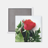 Aimant Roses rouges (Recto/Verso)