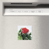 Aimant Roses rouges (In Situ (Lave-vaisselle))