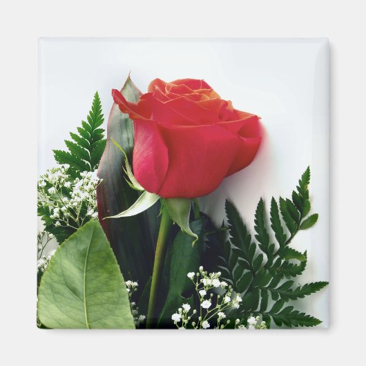 Aimant Roses rouges (Devant)