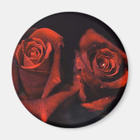 Roses rouges