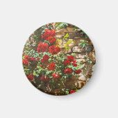 Aimant Roses rouges contre un mur de pierre (Devant)