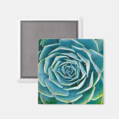 Aimant Rosette d'Echeveria, Jardin Secret de Marrakech (Recto/Verso)