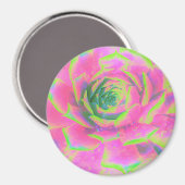 Aimant Rosette Succulente à la chaux verte et rose (Recto/Verso)