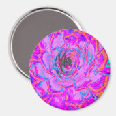 Aimant Rosette Succulente pourpre et magenta (Recto/Verso)