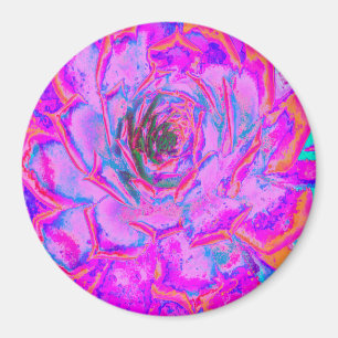 Aimant Rosette Succulente pourpre et magenta