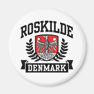 Aimant Roskilde Danemark