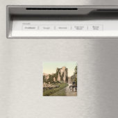 Aimant Ross Castle II, Killarney, comté de Kerry (In Situ (Lave-vaisselle))