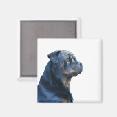 Aimant Rottweiler (Recto/Verso)