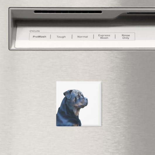 Aimant Rottweiler (In Situ (Lave-vaisselle))