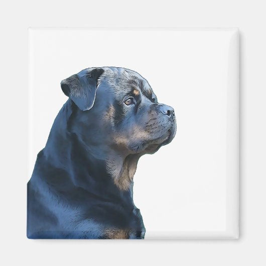 Aimant Rottweiler (Devant)