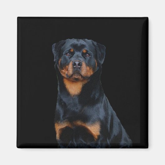 Aimant Rottweiler (Devant)