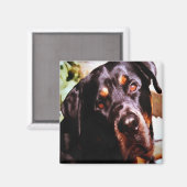 Aimant Rottweiler Artistic Pet (Recto/Verso)