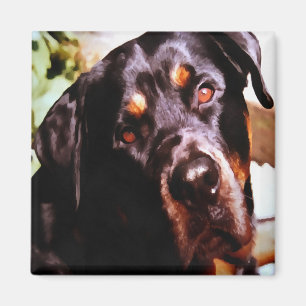 Aimant Rottweiler Artistic Pet