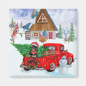 Aimant Rottweiler Chien en livraison Noël Camion Neige (Devant)