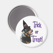 Aimant Rottweiler Trick (Recto/Verso)