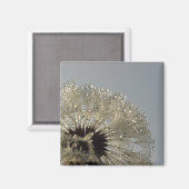 Aimant Roue de gouttelettes (Recto/Verso)