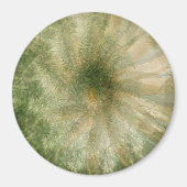 Aimant Roue Jungle.... (Devant)