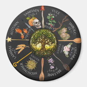 Aimant Roue magique de l'année