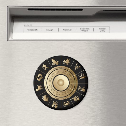 Aimant Roue Zodiac (In Situ (Lave-vaisselle))