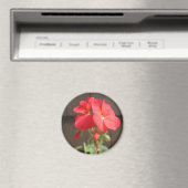 Aimant Rouge de géranium (In Situ (Lave-vaisselle))