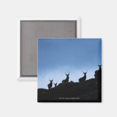 AIMANT ROUGE DEER (CERVUS ELAPHUS) SILHOUETTÉ CONTRE (Recto/Verso)